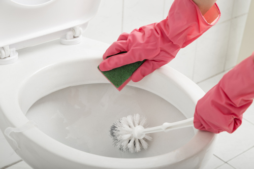person wearing pink rubber gloves holding toilet scrubber demonstrating how to clean a toilet