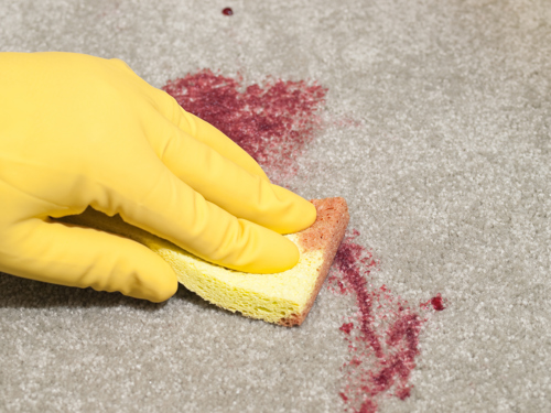 person using sponge and diy carpet stain remover to clean red wine stain from carpet
