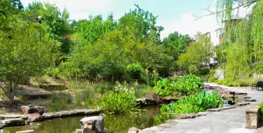 Image of walkway along woodlands lake with waterfall in foreground | SmartStop