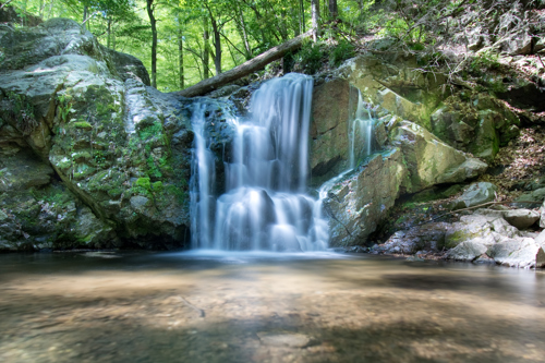 waterfall along river in forest