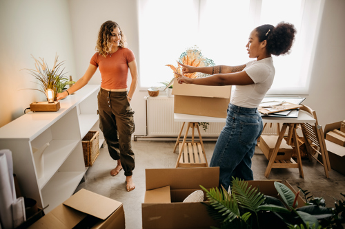 two roommates figuring out the placement of a plant in their college dorm room