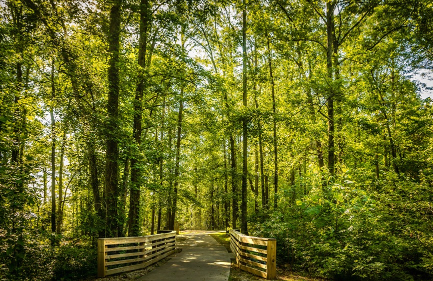 Image of Davidson-Arabia Mountain Nature Preserve in Lithonia, GA