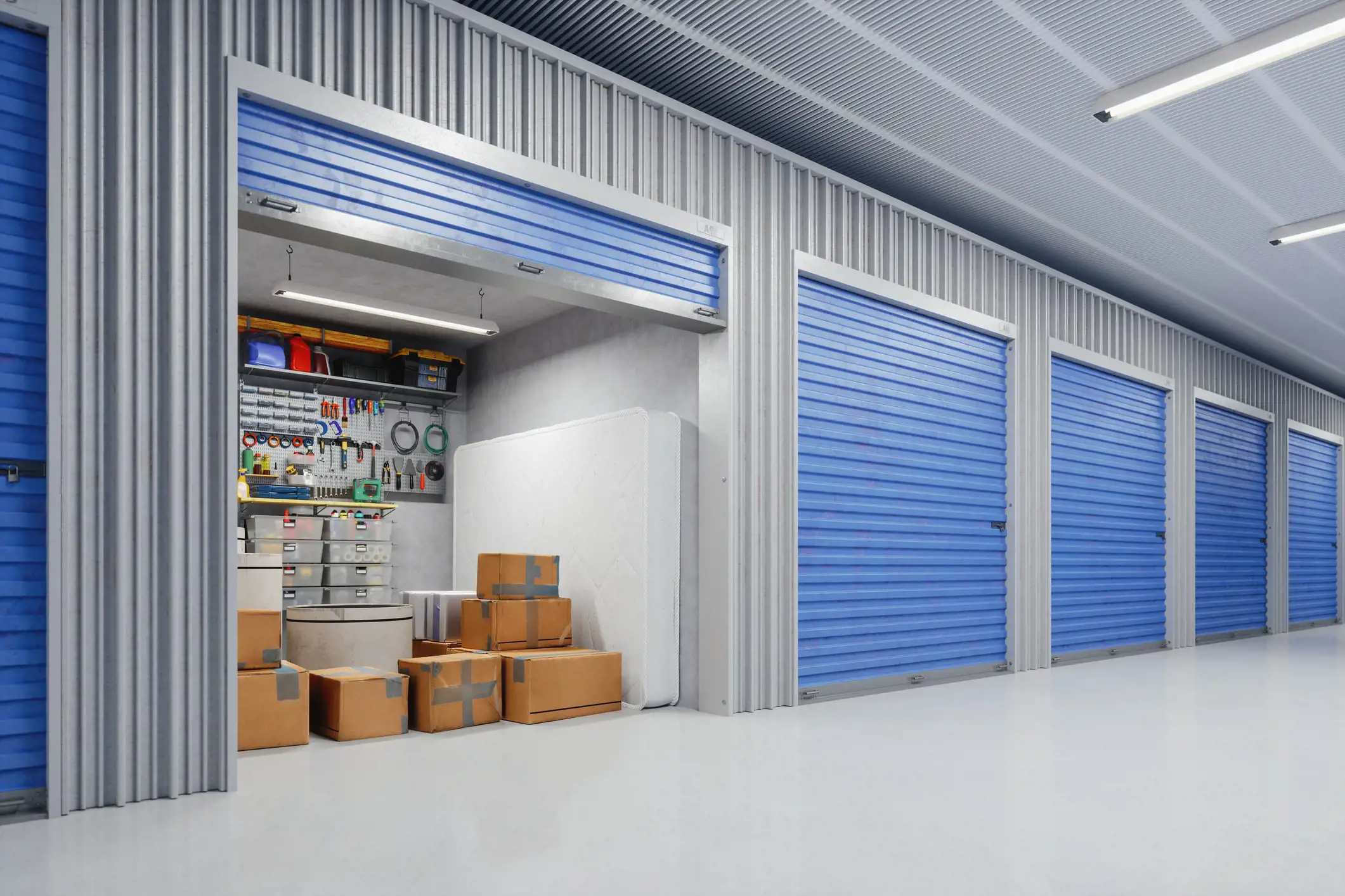 Storage Unit Show Low Az