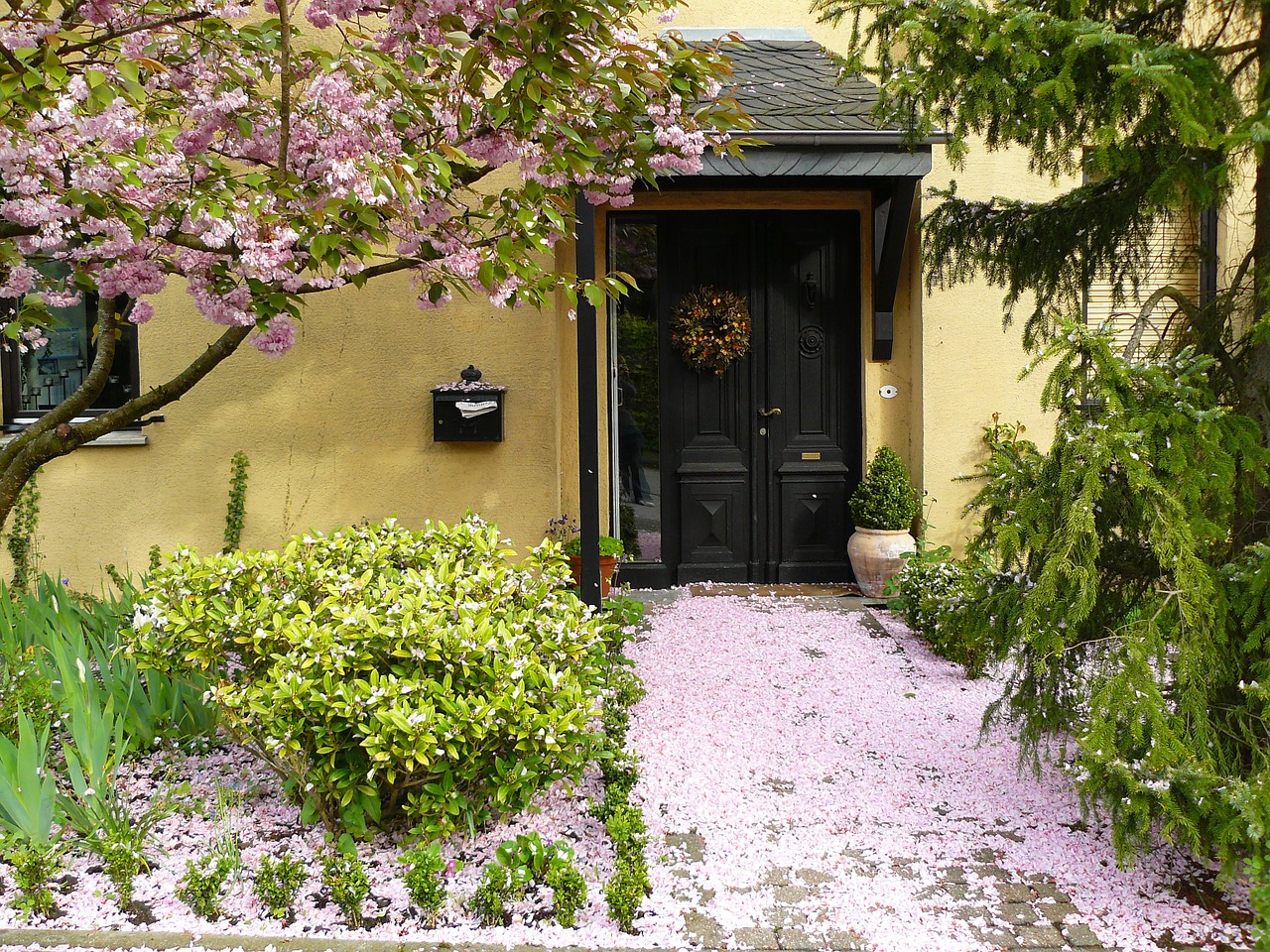 rustic front entry-way of a house is filled with plants and trees.