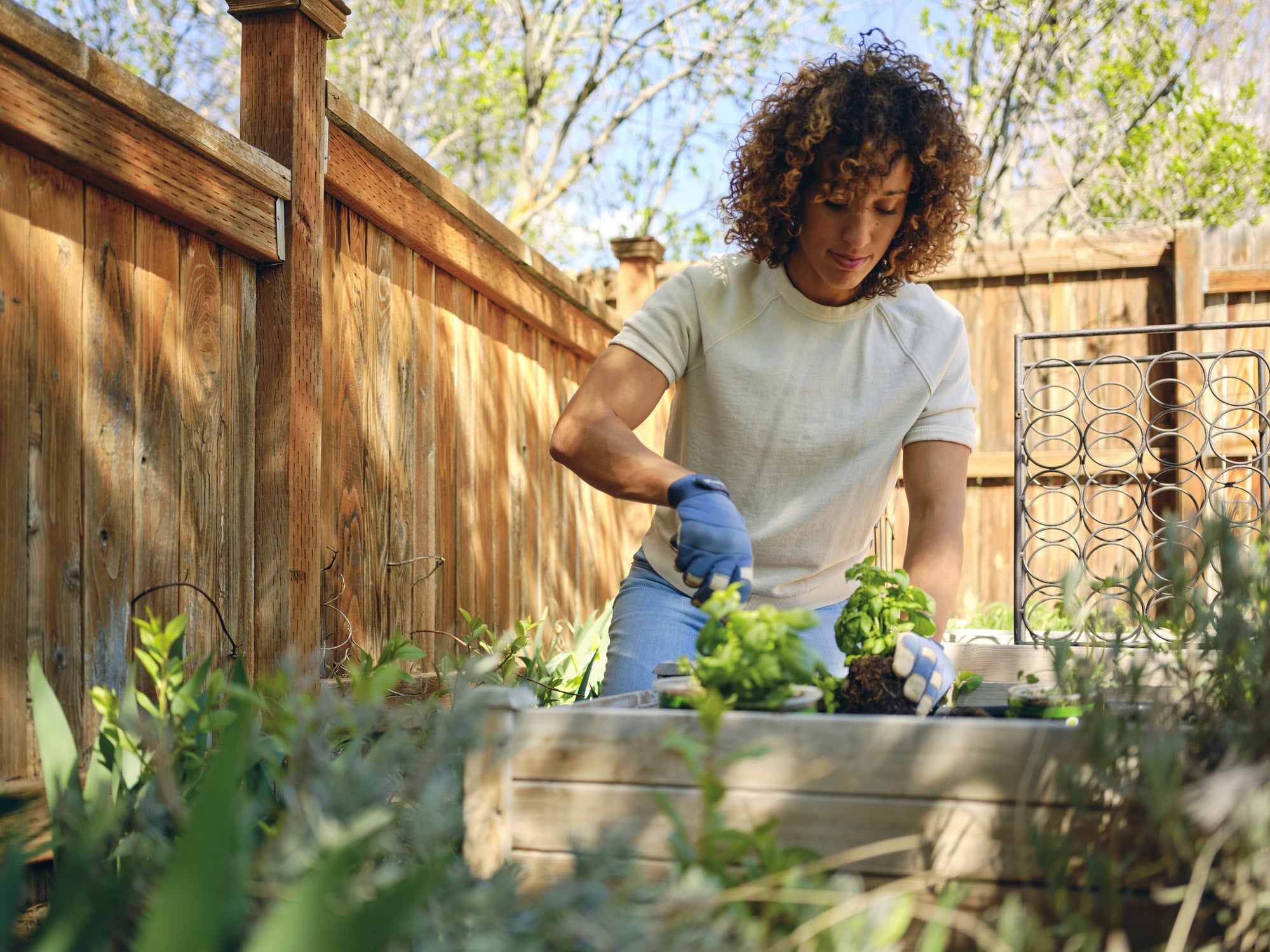 woman planting herbs in backyard garden