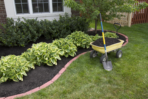 wheelbarrow and shovel next to landscaped front yard full of greenery