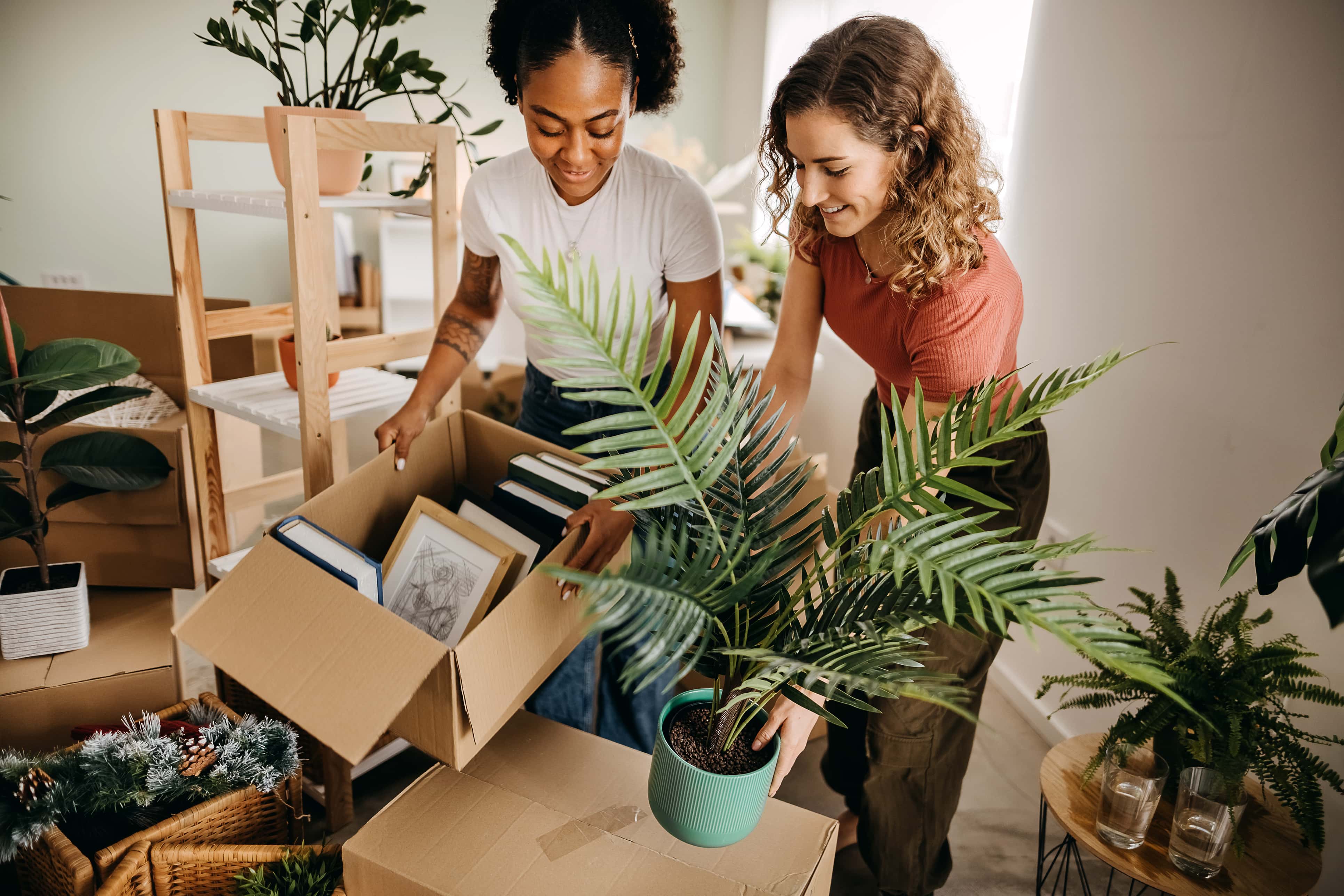 two friends packing items into cardboard boxes at home