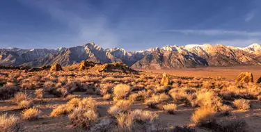 Image of desert with brush in foreground and snow capped mountains on horizon