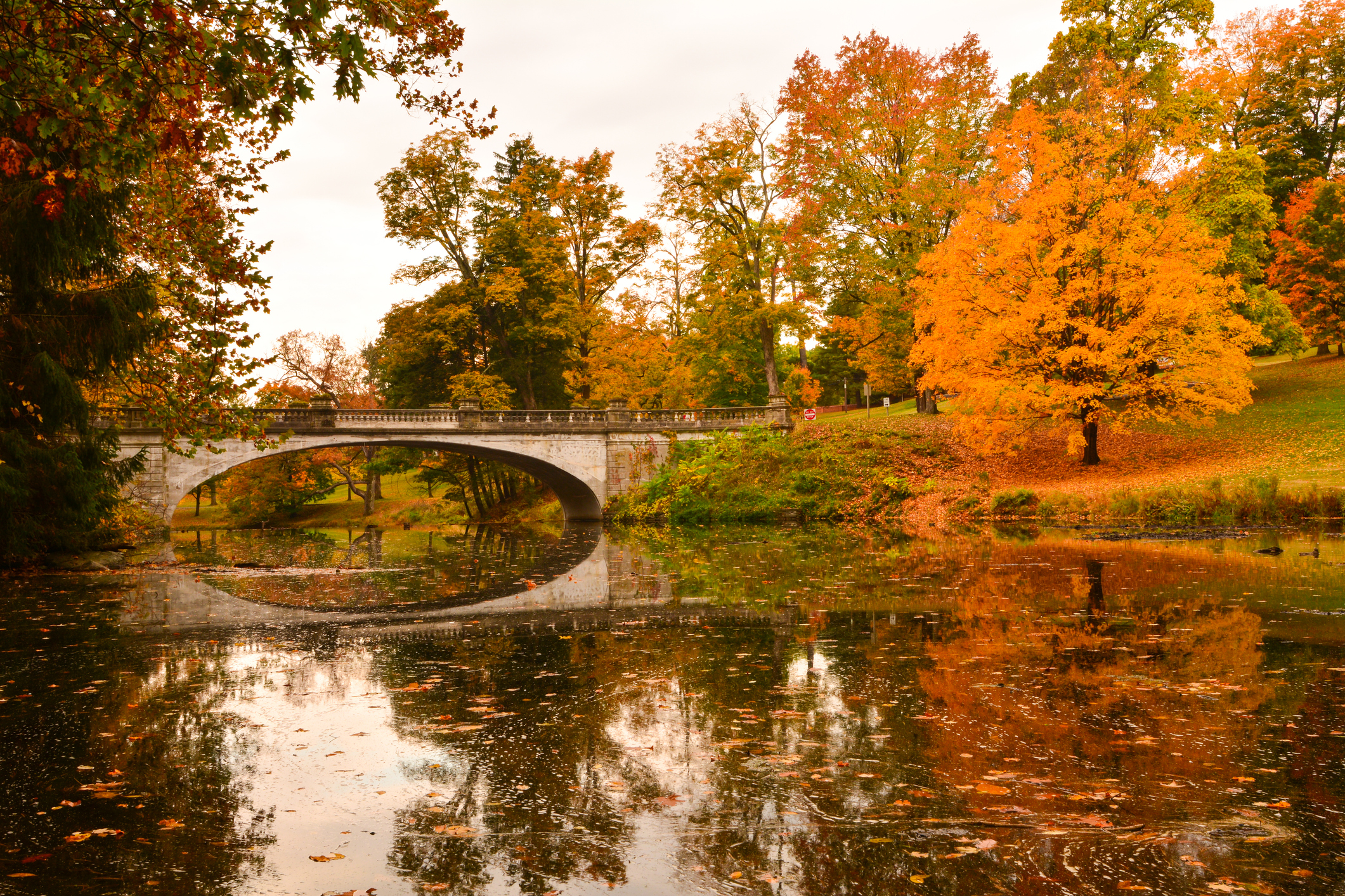 fall foliage surrounding a bridge at the vanderbilt mansion in hyde park new york