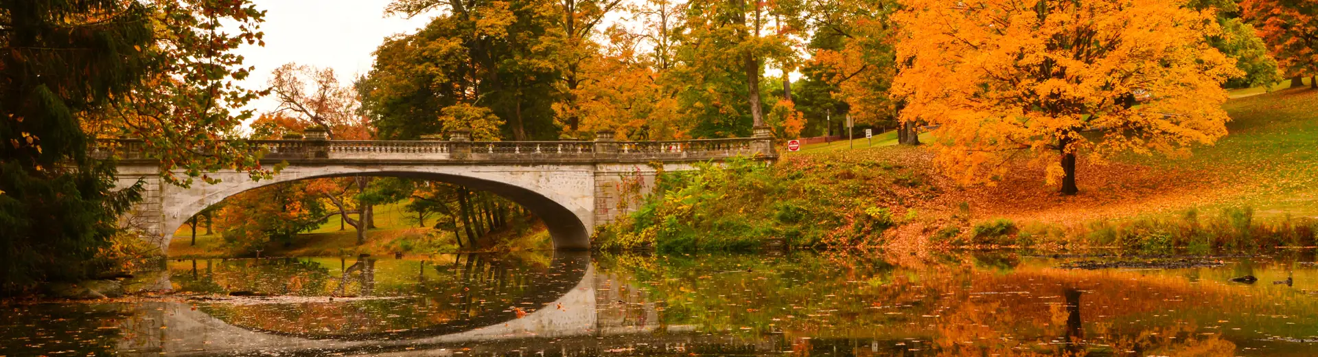 fall foliage surrounding a bridge at the vanderbilt mansion in hyde park new york