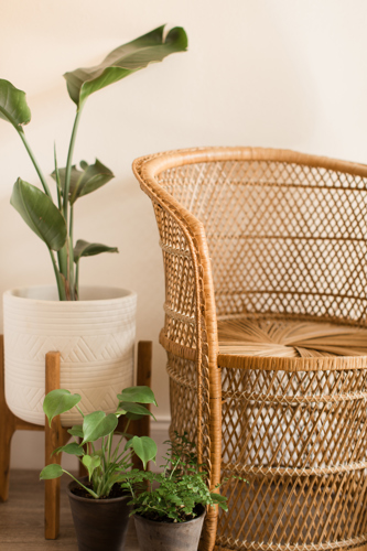 rattan chair and potted plant in boho living room