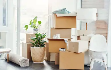 Image of boxes, plants and other household items packed to move | SmartStop