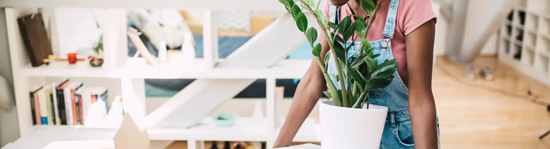 woman carrying box and plant during apartment move-out