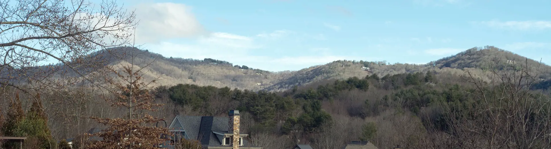 Residential street in Asheville, NC