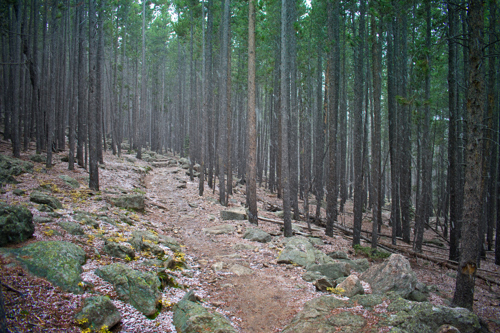 hiking trail in denver colorado