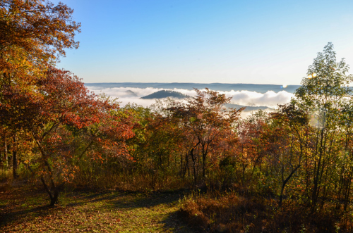 view from the top of morrow mountain state park in charlotte, north carolina