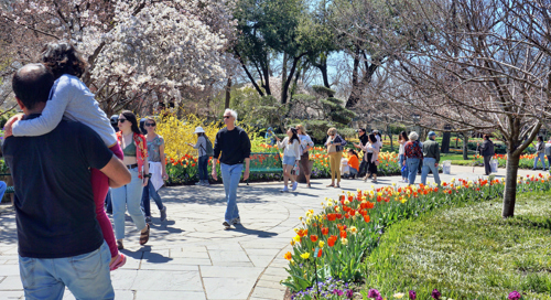 people strolling through dallas arboretum on a sunny day