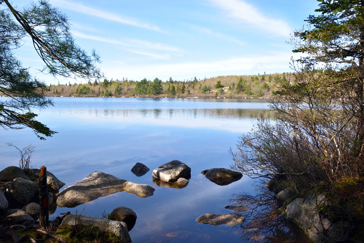 The Bluffs Wilderness Trails Park in Timberlea, NS, Canada | SmartStop