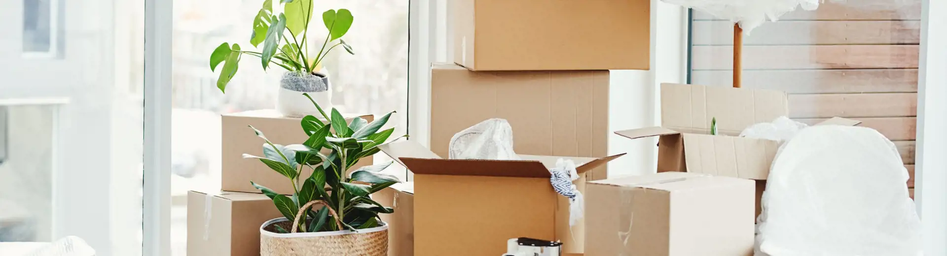 storage boxes inside home