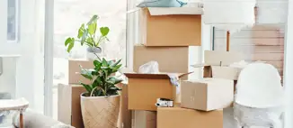 storage boxes inside home