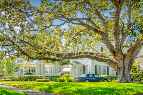 residential home in tampa florida