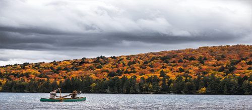 Image of people rowing boat on lake in ON, Canada