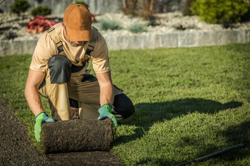 man laying out sheet of grass in home yard