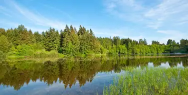 Image of green meadow surrounded by trees along side a lake close to Puyallup, WA