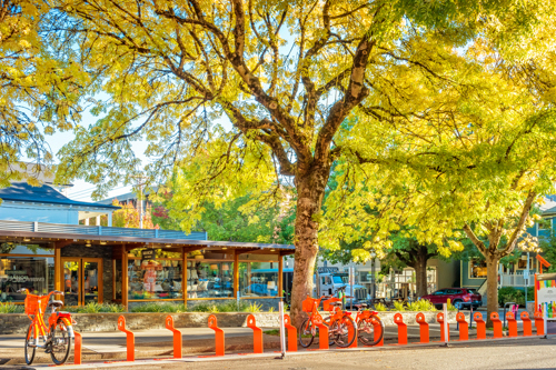 bike rack and shops and trees set against a suburban neighborhood in portland oregon